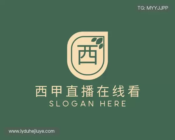 了解西甲直播在线看